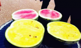 吃瓜爆料真假怎么看,真假难辨，如何辨别真相？